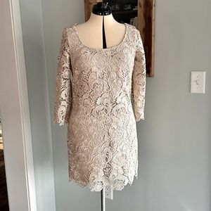 White House Black Market Lace Overlay Shift Dress Special Occasion
